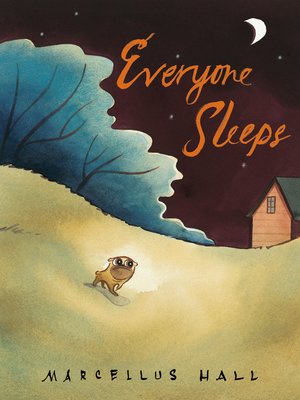 cover image of Everyone Sleeps